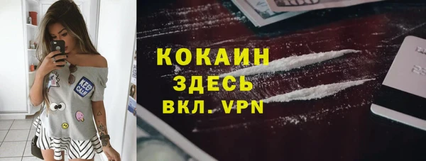 ешки Белокуриха
