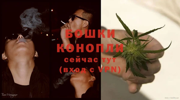 дурь Белоозёрский