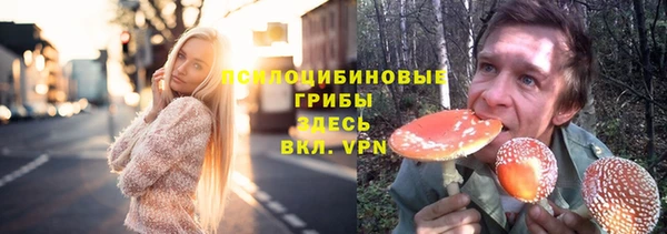 ешки Белокуриха