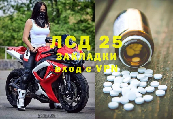 ешки Белокуриха